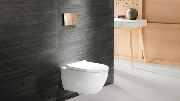 Geberit Acanto wc mísa se sedátkem s pomalým sklápěním závěsná bez splachovacího kruhu s vírovým splachováním bílá 502.774.00.8