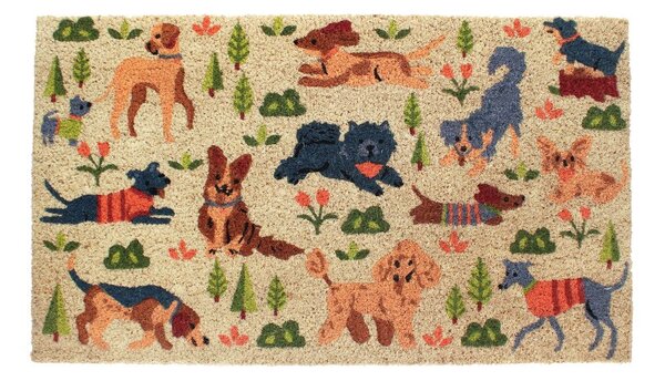 Rohožka z kokosového vlákna 73x43 cm Dog Park – Rex London