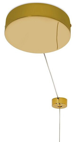 Moosee Ring Luxury závěsné svítidlo 1x60 W zlatá MSE010100190
