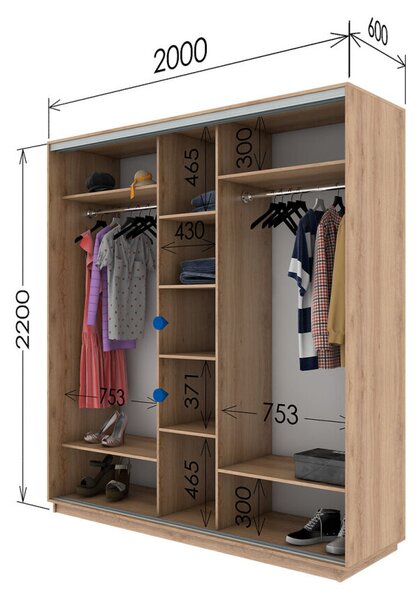 Skříň s posuvnými dveřmi 2000x2200x600 2LTD 1 Zrcadlo Nymphea Alba, profil stříbrný