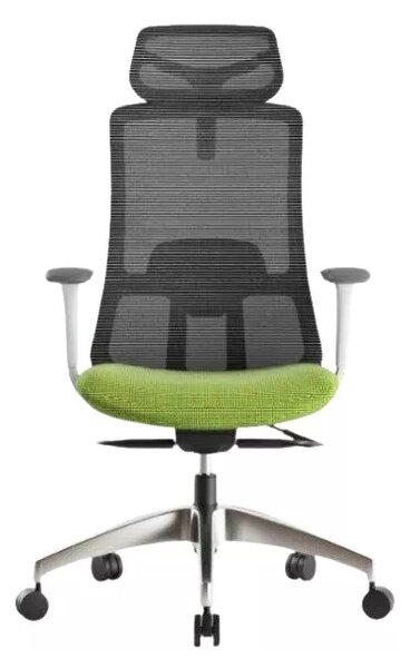 Kancelářská ergonomická židle WISDOM s podhlavníkem — síť, šedý plast, nosnost 150 kg, zelená