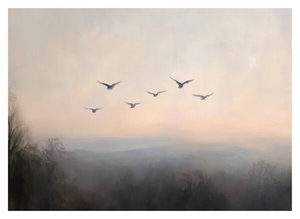 Obraz - Hejno ptáků (70x50 cm)