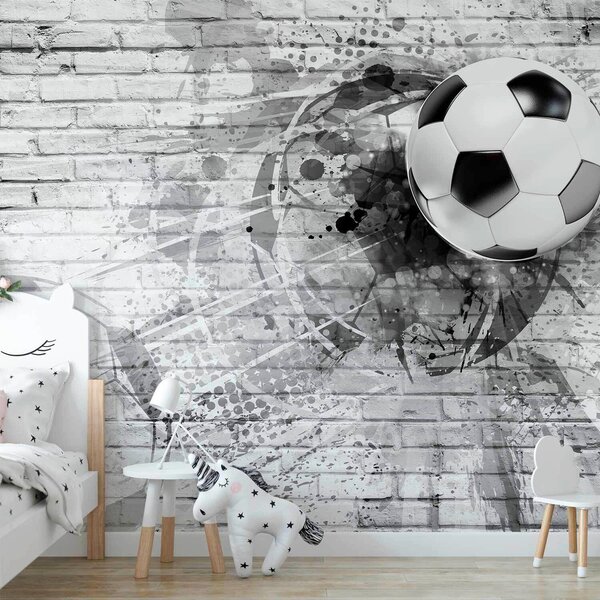 FOTOTAPETA velikost: 150/105 cm artgeist - Online Only tapety, Online Only