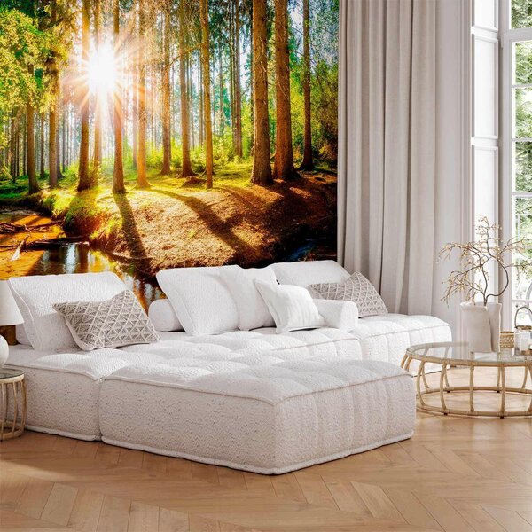 FOTOTAPETA velikost: 300/210 cm artgeist - Online Only tapety, Online Only