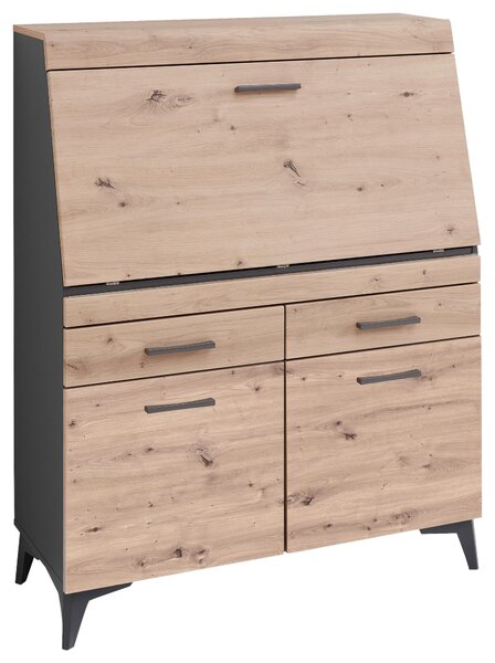 SEKRETÁŘ, 98/124/42 cm Carryhome, Online Only