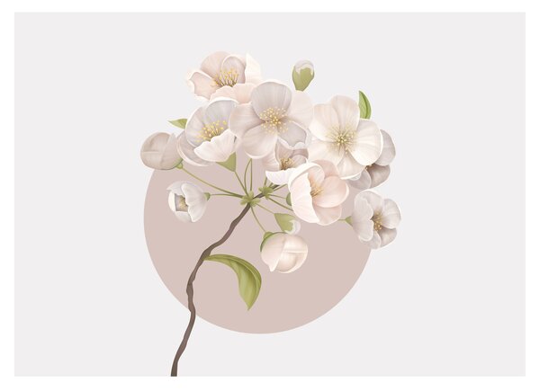 Skleněný obraz - Bloom with grace N⁰2 (70x50 cm)