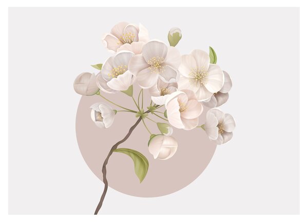 Obraz - Bloom with grace N⁰2 (70x50 cm)