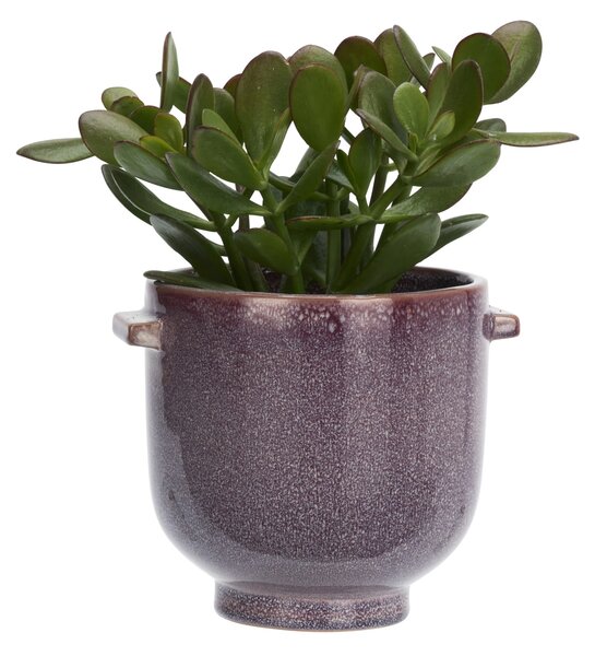 Obal na květiny Purple Ø 17 cm