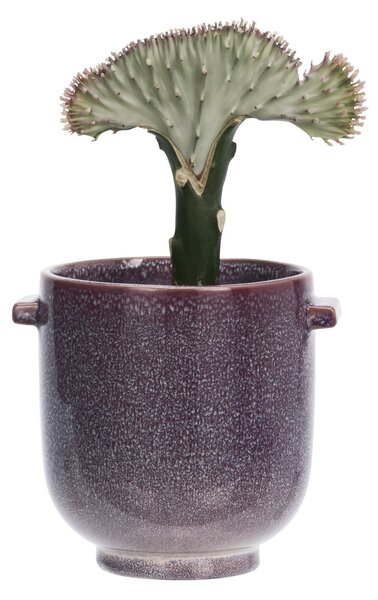 Obal na květiny Purple Ø 13,5 cm