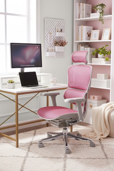 Grospol - Kancelářské křeslo Ergohuman 2 Elite GS Pink
