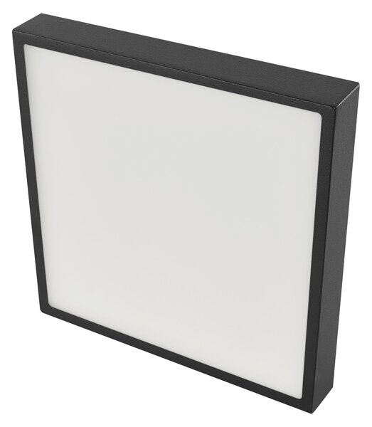 STROPNÍ LED SVÍTIDLO, 30/30/4.2 cm - Stropní svítidla