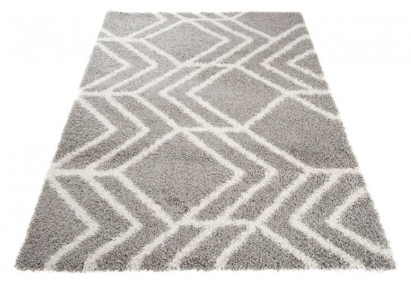 Exkluzivní kusový koberec SHAGGY LOCANA L0860 - 220x320 cm
