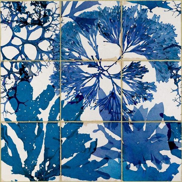 Mind the Gap WP 20179 Algae In Blue