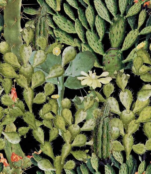 Mind the Gap WP 20165 Opuntia Anthracite