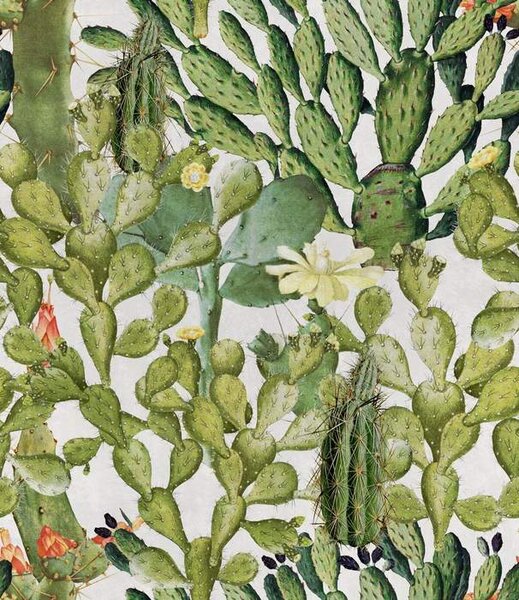 Mind the Gap WP 20166 Opuntia