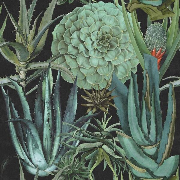 Mind the Gap WP 20167 Succulents Anthracite