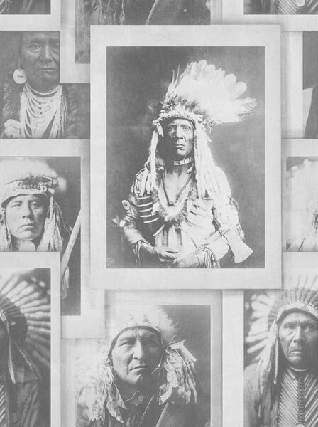 Mind the Gap WP 20072 Indian Chiefs