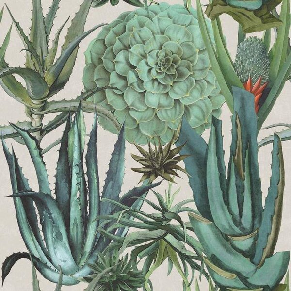 Mind the Gap WP 20168 Succulent