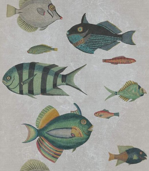 Mind the Gap WP 20182 Poissons Grey