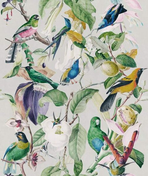 Mind the Gap WP 20172 Tropical Birds