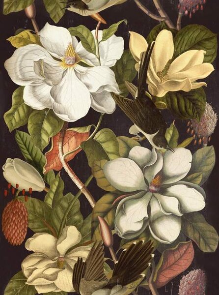 Mind the Gap WP 20171 Magnolia