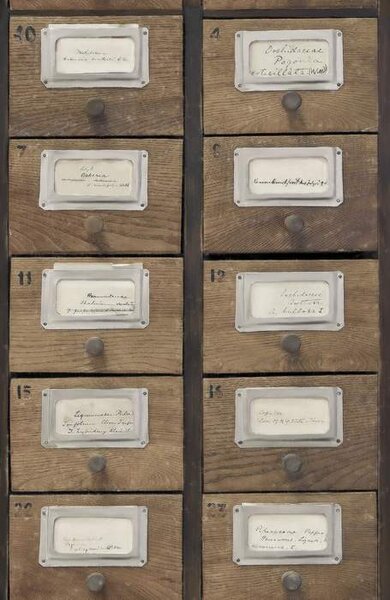 Mind the Gap WP 20264 Apothecary Neutral