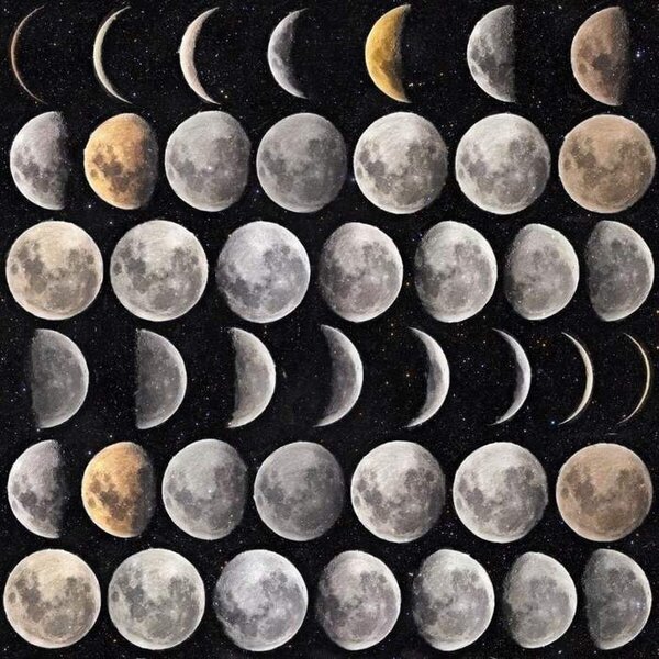 Mind the Gap WP 20066 Moon Phases
