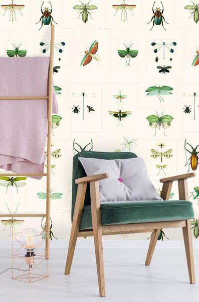 Mind the Gap WP 20234 Entomology Green
