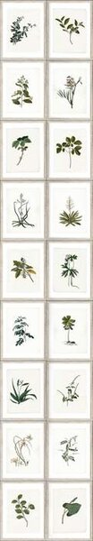 Mind the Gap WP 20153 Botany
