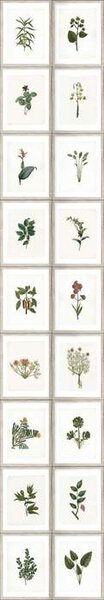 Mind the Gap WP 20153 Botany