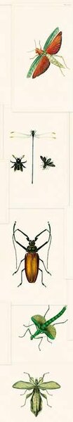Mind the Gap WP 20234 Entomology Green