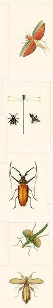 Mind the Gap WP 20233 Entomology