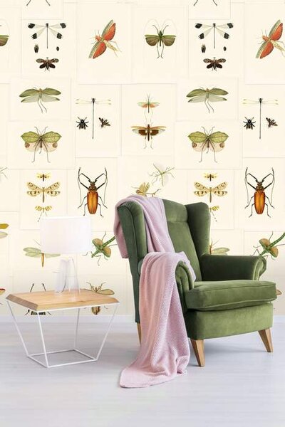 Mind the Gap WP 20233 Entomology
