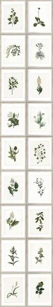 Mind the Gap WP 20153 Botany
