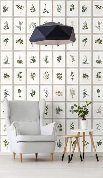 Mind the Gap WP 20153 Botany