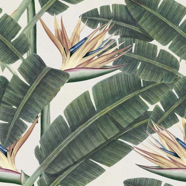 Mind the Gap WP 20096 Tropical Bloom