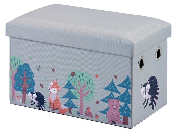 Livarno® Lavice s úložným prostorem, 50x 30 x 30 cm (světle modrá) (100393728001)