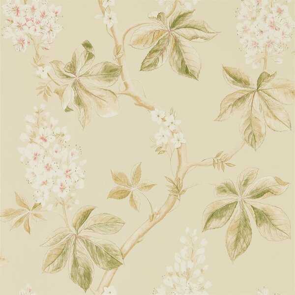 Sanderson Tapeta Chestnut Tree, kolekce Woodland Walk tapet Sanderson: Lemon/Lettuce