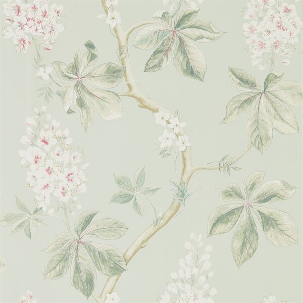Sanderson Tapeta Chestnut Tree, kolekce Woodland Walk tapet Sanderson: Lemon/Lettuce
