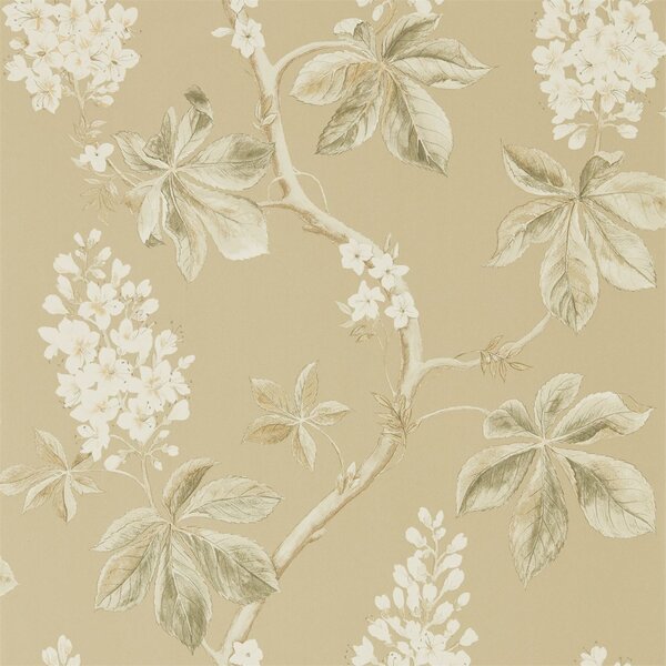 Sanderson Tapeta Chestnut Tree, kolekce Woodland Walk tapet Sanderson: Lemon/Lettuce