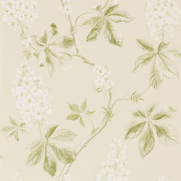 Sanderson Tapeta Chestnut Tree, kolekce Woodland Walk tapet Sanderson: Lemon/Lettuce