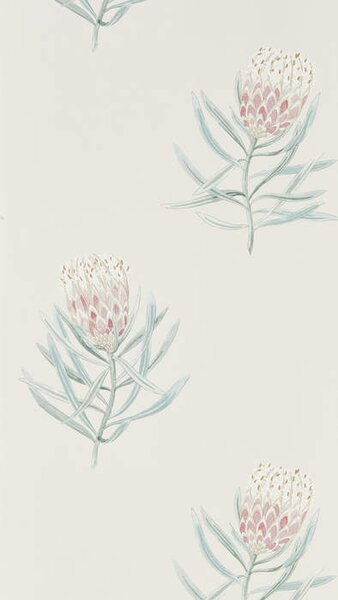 Sanderson PROTEA FLOWER - Porcelain/Blush - 216330