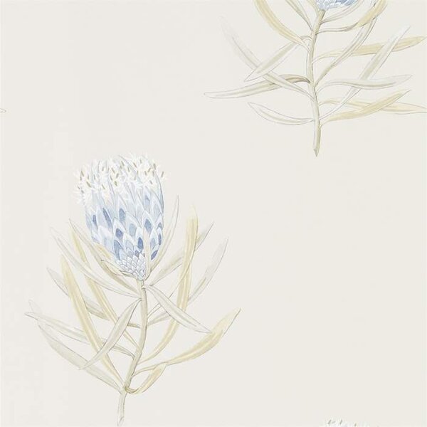 Sanderson PROTEA FLOWER - China Blue/Canvas - 216327