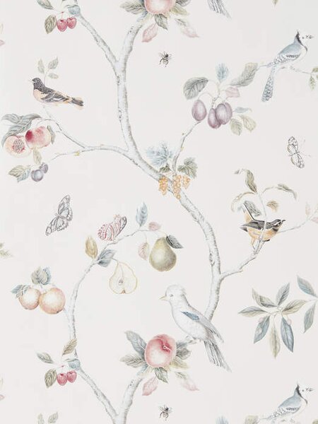 Sanderson FRUIT AVIARY 216314