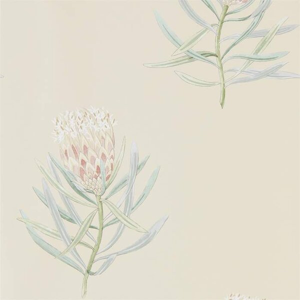 Sanderson PROTEA FLOWER - Russet/Green - 216329