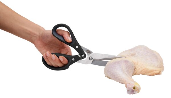 Nůžky na drůbež Chef'n FreshForce 22 cm, nerezové, s dvojitým převodem 103-880-271