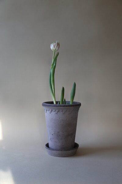 Bergs Potter Terakotový květináč Copenhagen Tall Grey - 10 cm BP113