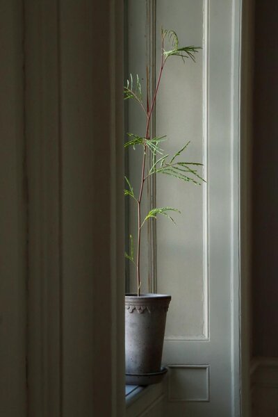 Bergs Potter Terakotový květináč Copenhagen Tall Grey - 10 cm BP113