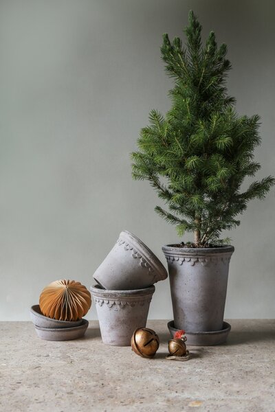 Bergs Potter Terakotový květináč Copenhagen Tall Grey - 10 cm BP113
