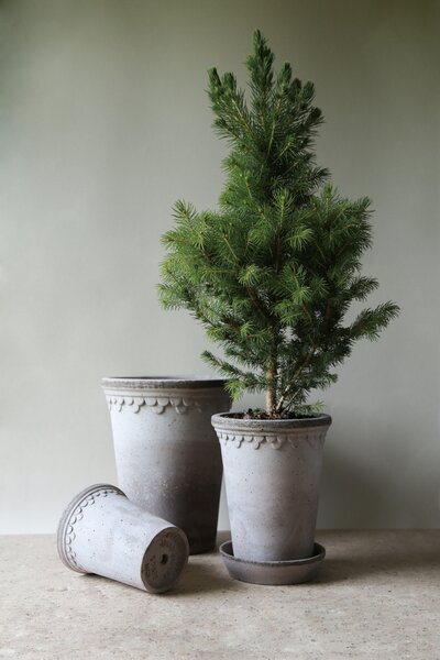 Bergs Potter Terakotový květináč Copenhagen Tall Grey - 10 cm BP113